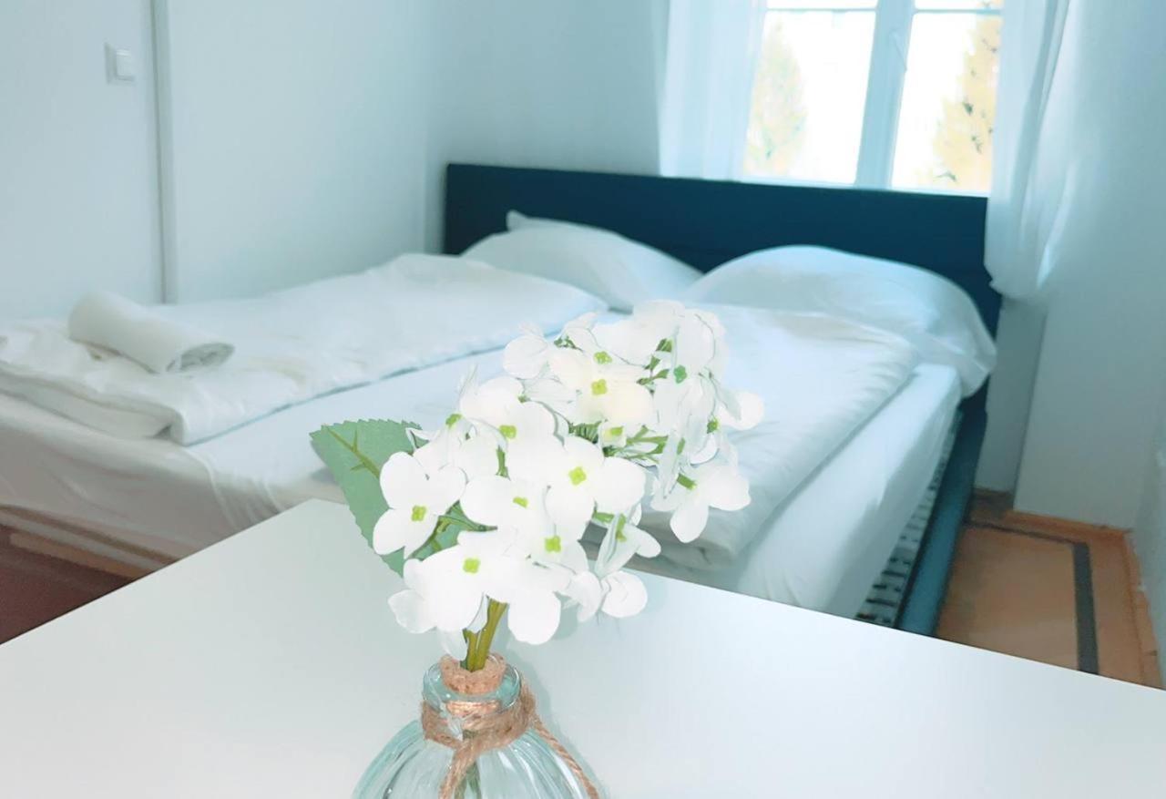 Deluxe Rooms In Keplerplatz Wien Eksteriør billede